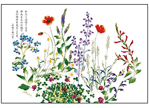 庭の寄せ植え