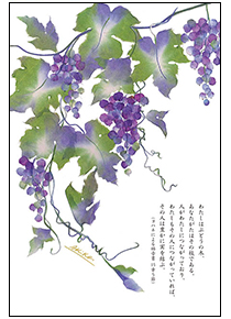 ぶどう