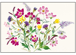 秋の花